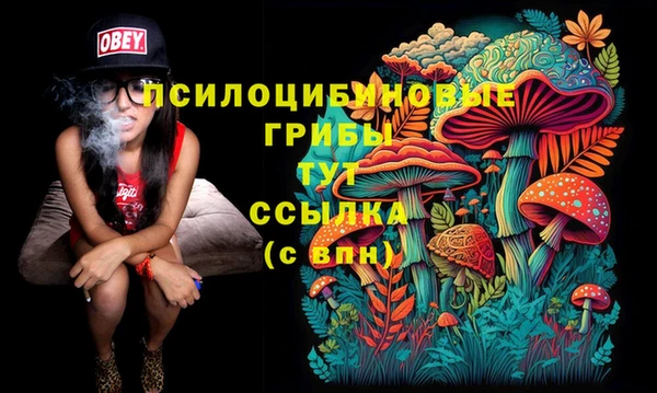 стафф Аркадак