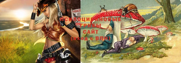 стафф Аркадак