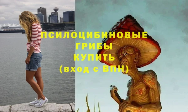 спиды Армянск